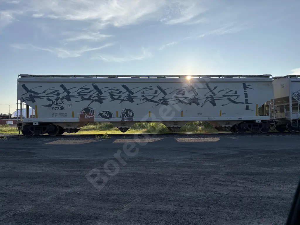 MLLX97306 - NORTH-AMERICA