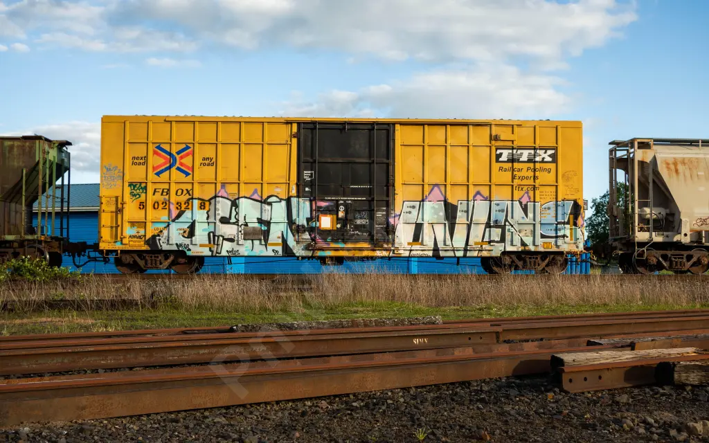 FBOX502328 - NORTH-AMERICA