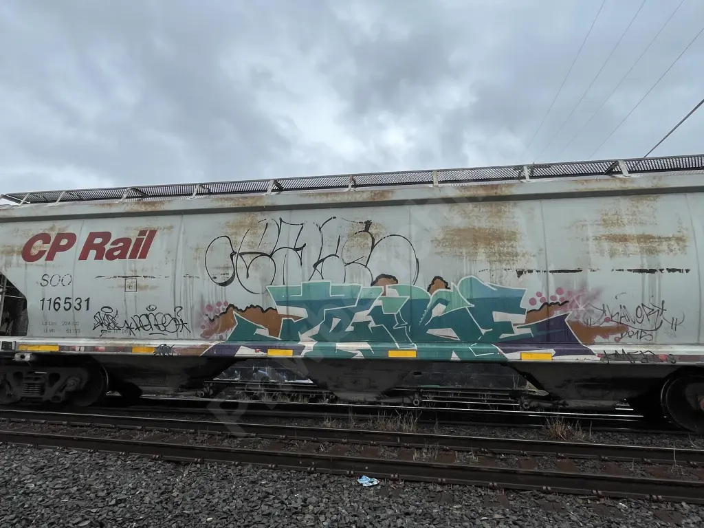 SOO116531 - NORTH-AMERICA