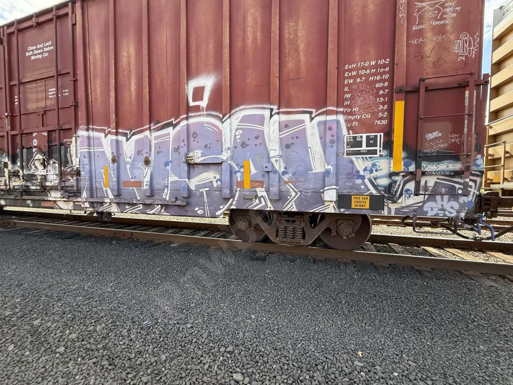 CP218204 - NORTH-AMERICA