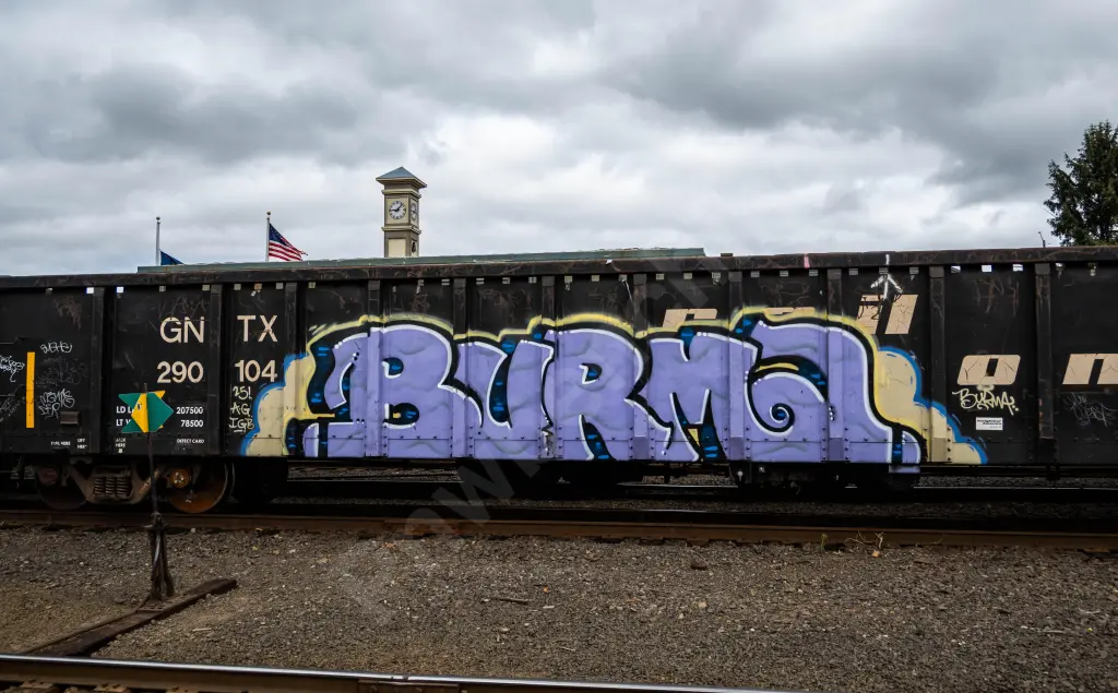 GNTX290104 - NORTH-AMERICA