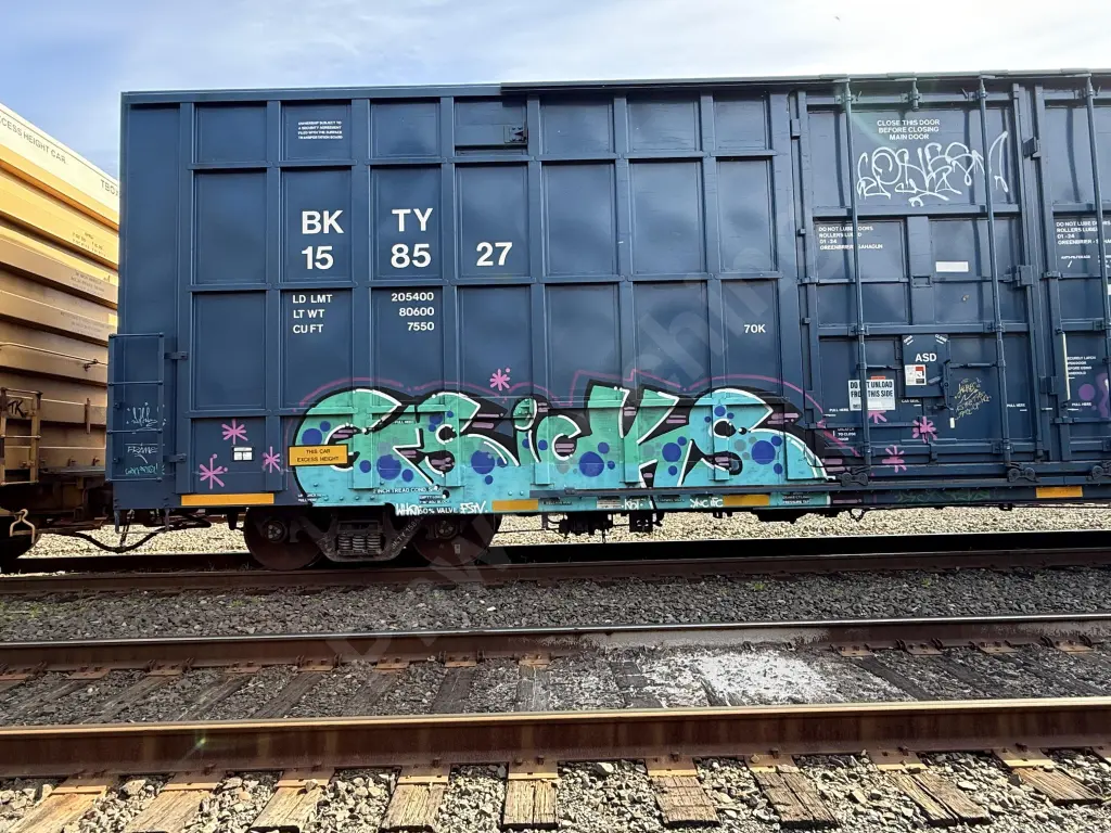 BKTY158527 - NORTH-AMERICA