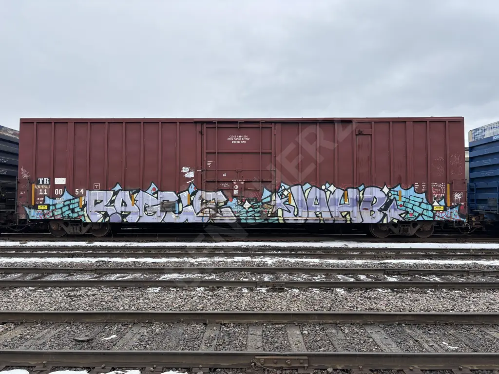 TR110054 - NORTH-AMERICA
