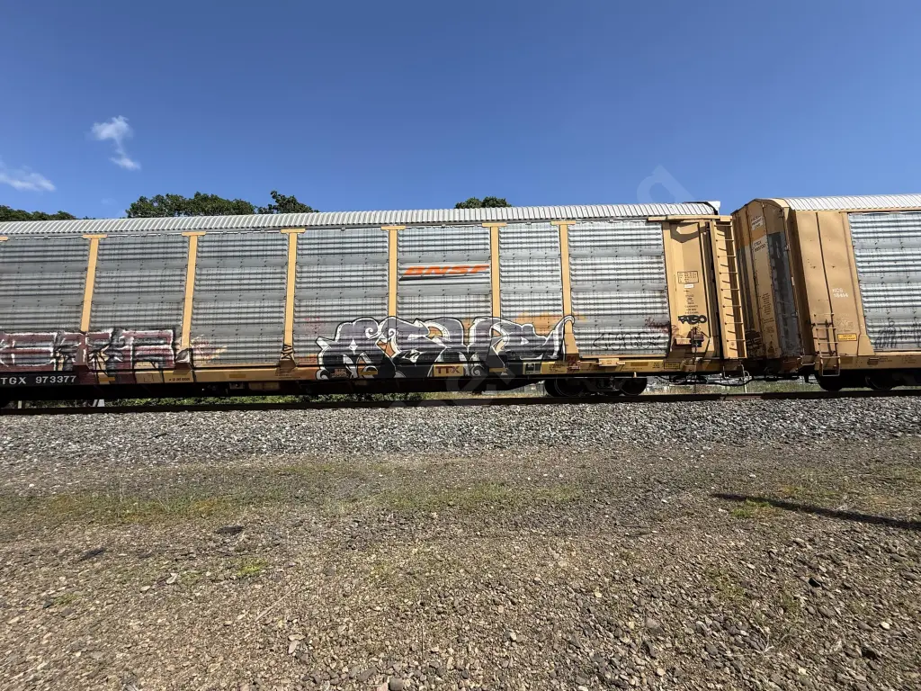 TTGX973377 - NORTH-AMERICA