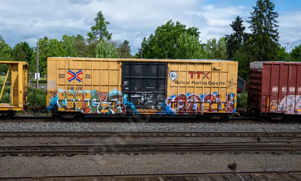 FBOX506007 - NORTH-AMERICA