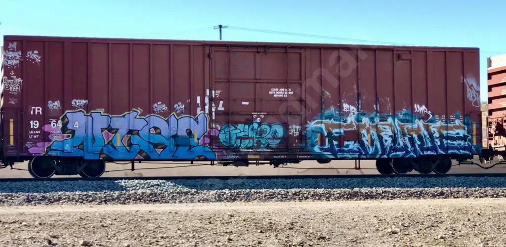 TR19644 - NORTH-AMERICA
