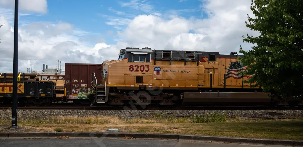 UP8203 - NORTH-AMERICA