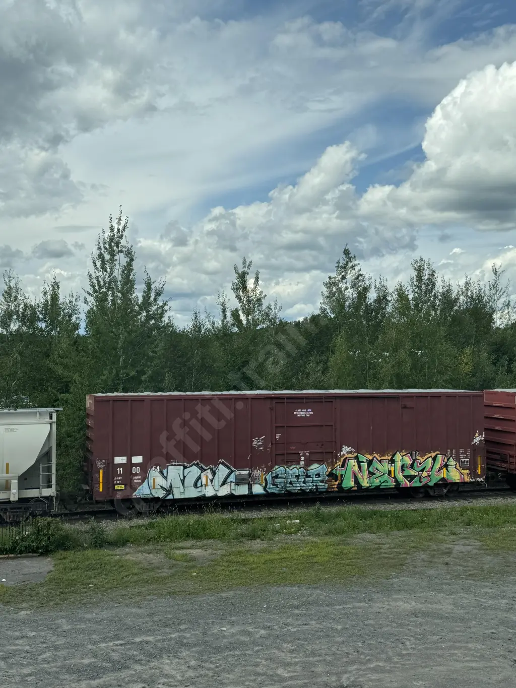 TR110054 - NORTH-AMERICA