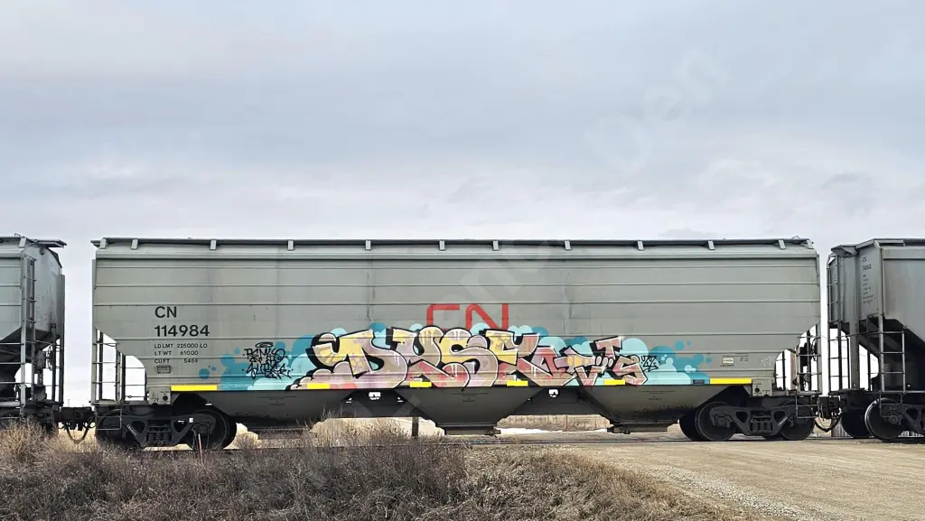CN114984 - NORTH-AMERICA