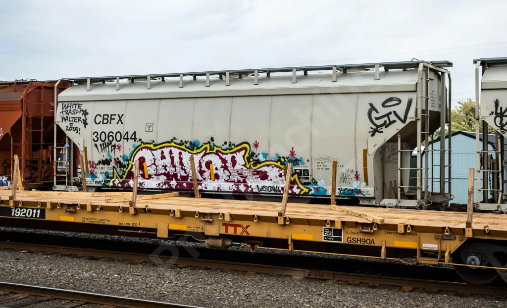 CBFX306044 - NORTH-AMERICA