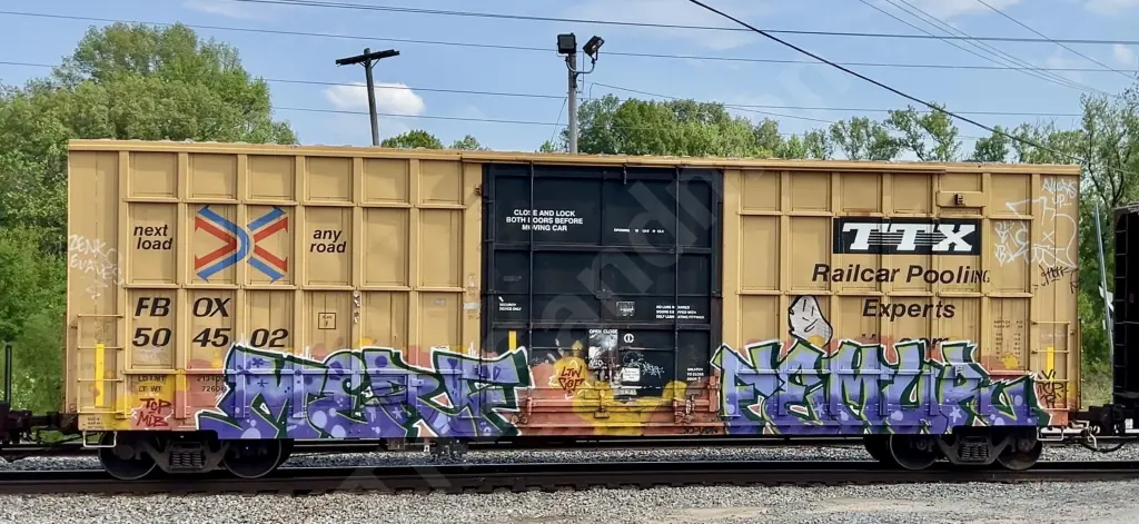 FBOX504502 - NORTH-AMERICA