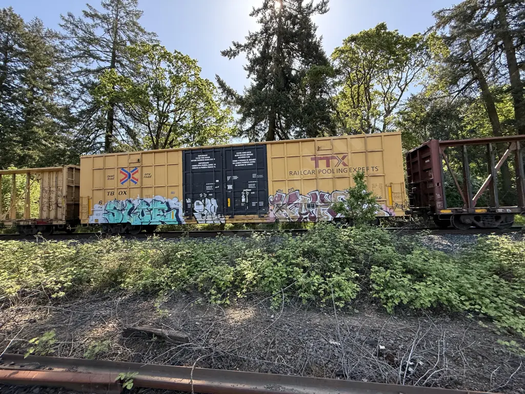 TBOX675459 - NORTH-AMERICA