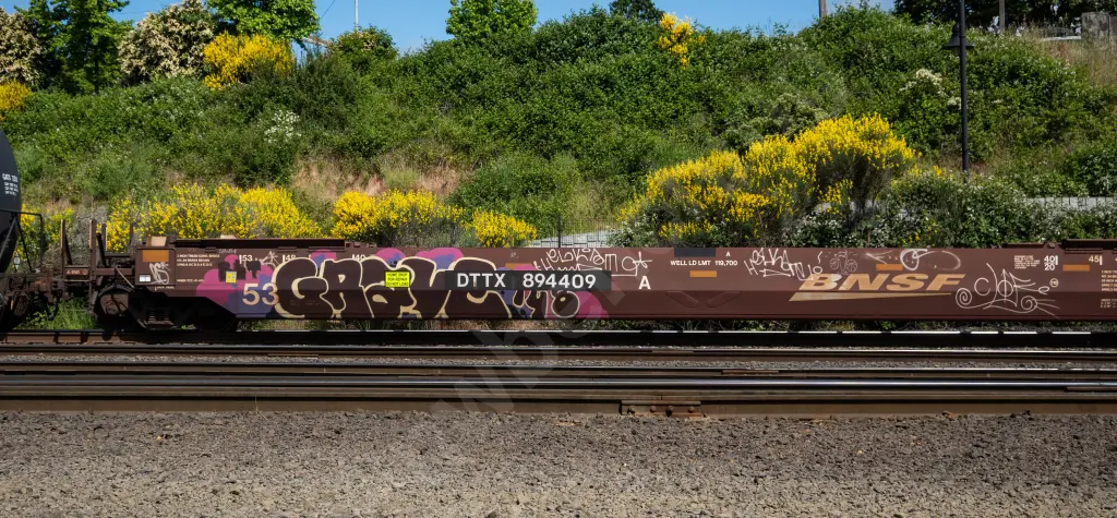 DTTX894409 - NORTH-AMERICA