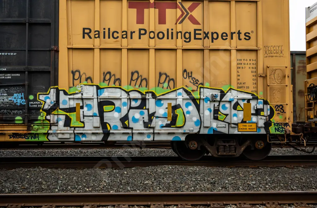 FBOX505504 - NORTH-AMERICA
