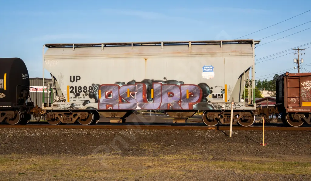 UP218889 - NORTH-AMERICA