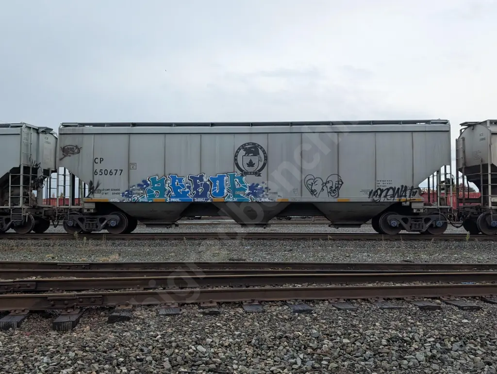 CP650677 - NORTH-AMERICA