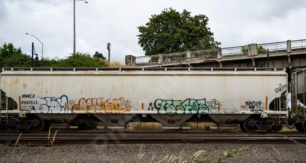 MWCX480513 - NORTH-AMERICA