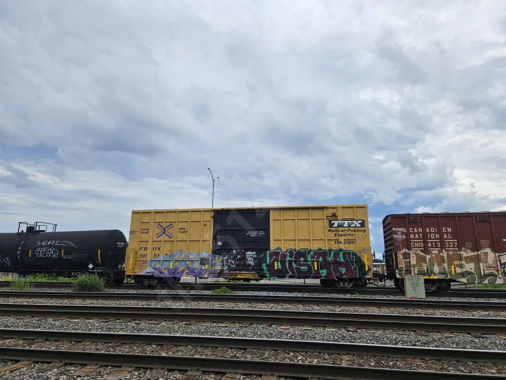 FBOX505179 - NORTH-AMERICA