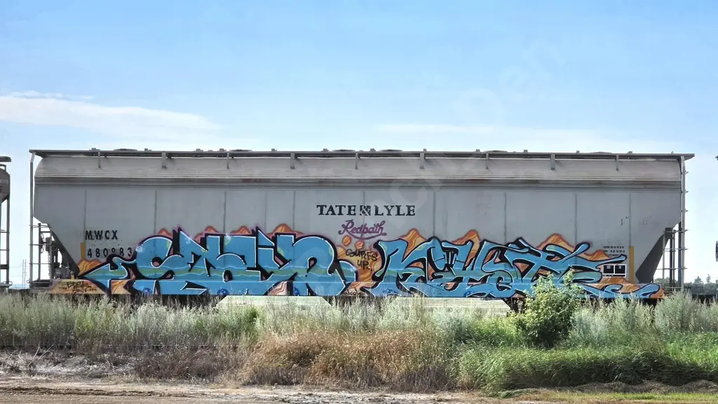 Train photo