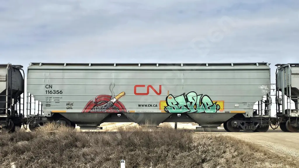 CN116356 - NORTH-AMERICA