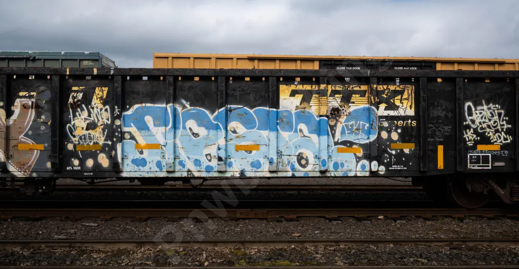 Train photo