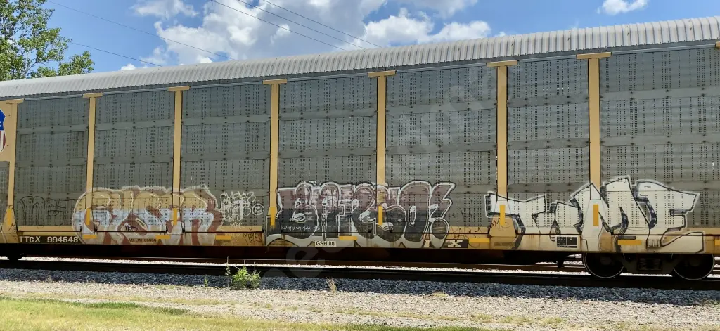 TTGX994648 - NORTH-AMERICA