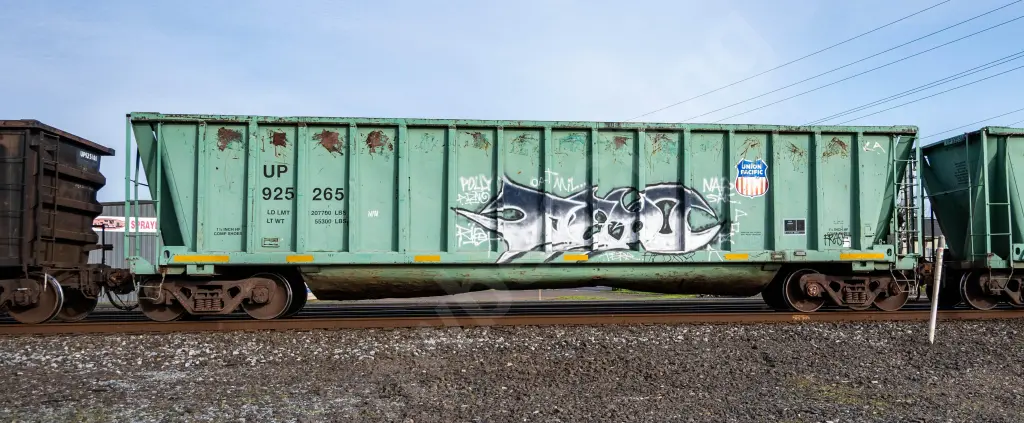 UP925265 - NORTH-AMERICA