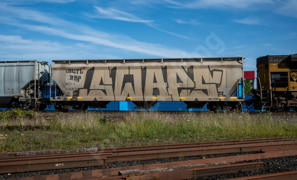NDYX515870 - NORTH-AMERICA