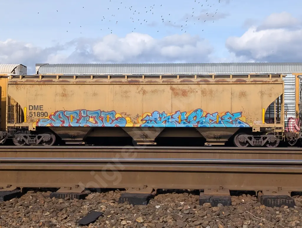 DME51890 - NORTH-AMERICA