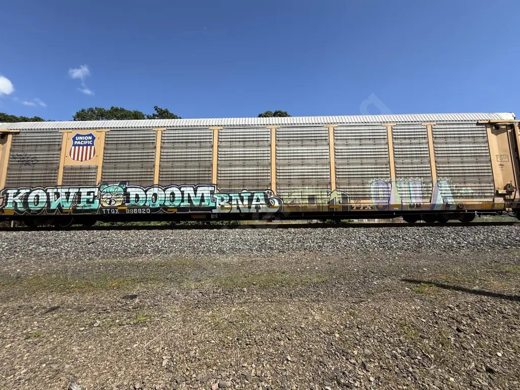 TTGX996820 - NORTH-AMERICA