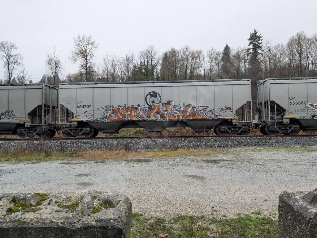 CP654707 - NORTH-AMERICA