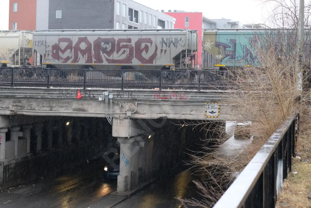 CP651025 - NORTH-AMERICA