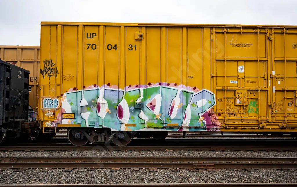 UP700431 - NORTH-AMERICA