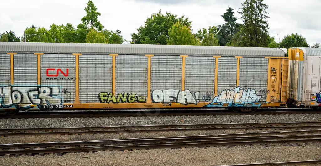 TTGX702434 - NORTH-AMERICA