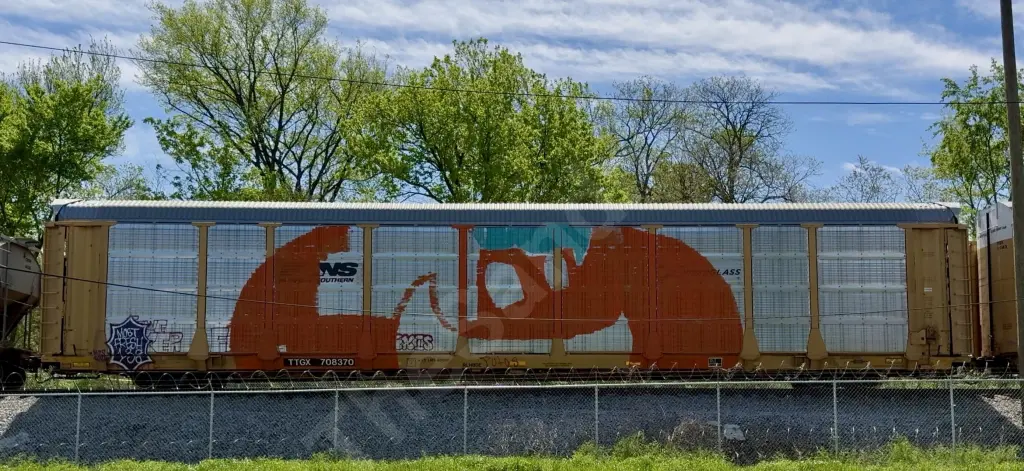 TTGX708370 - NORTH-AMERICA