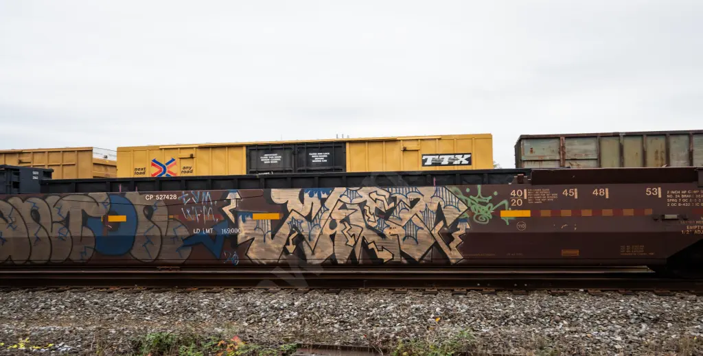 CP527428 - NORTH-AMERICA