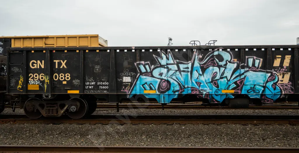 GNTX296088 - NORTH-AMERICA