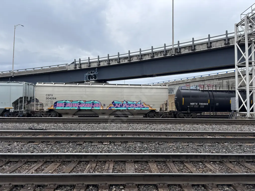 CEFX304284 - NORTH-AMERICA