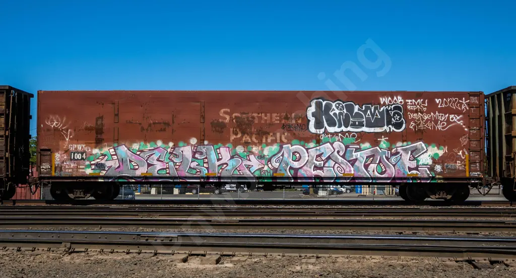 GPWX1004 - NORTH-AMERICA