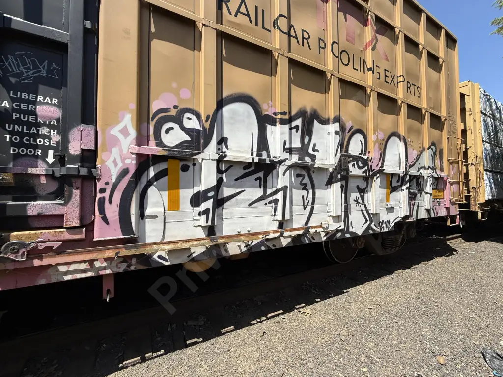 TBOX672841 - NORTH-AMERICA