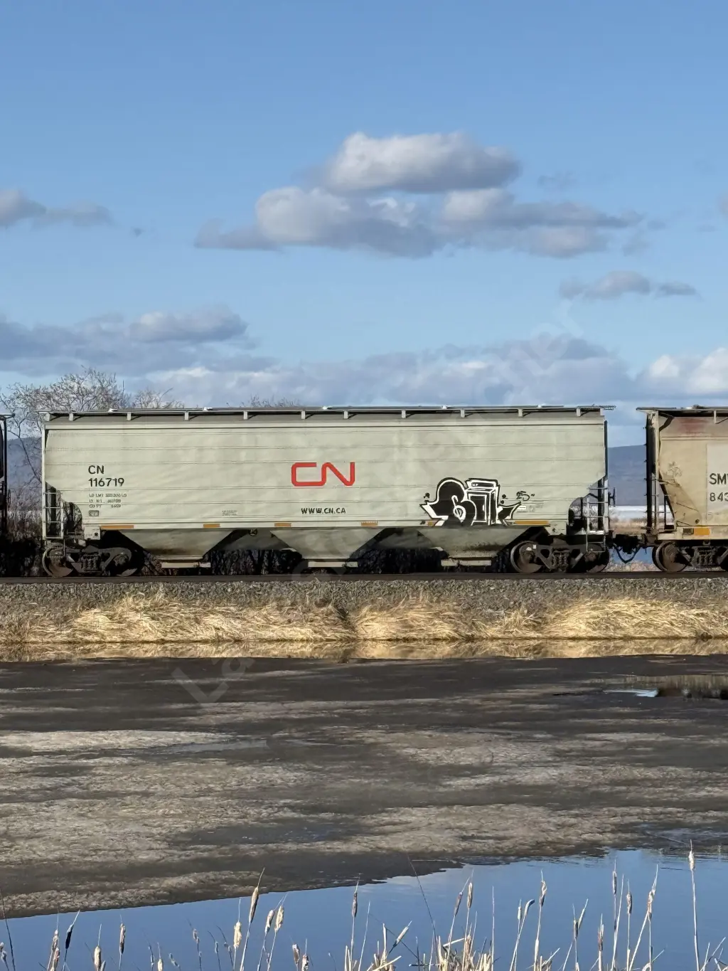 CN116719 - NORTH-AMERICA