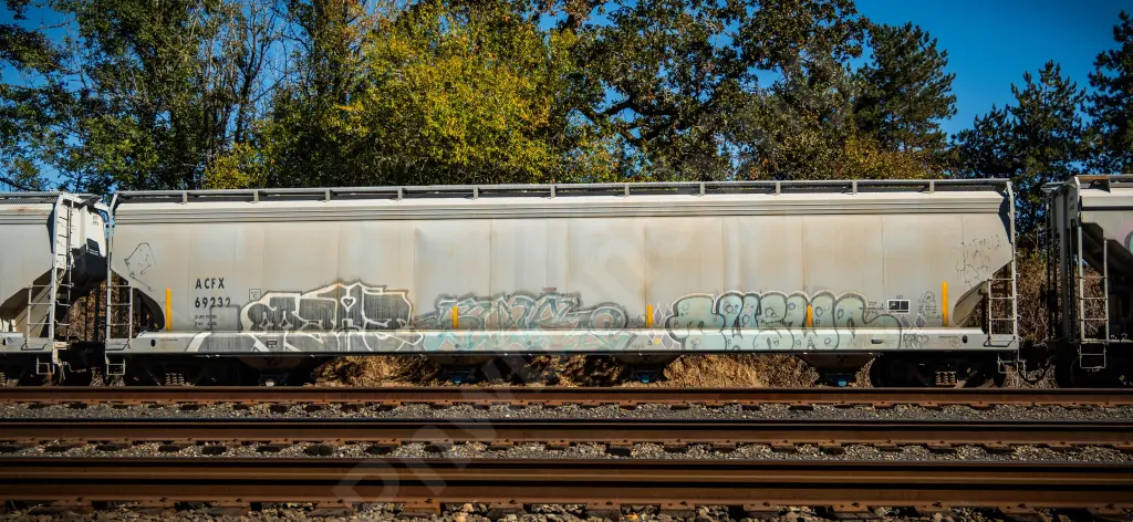 ACFX69232 - NORTH-AMERICA