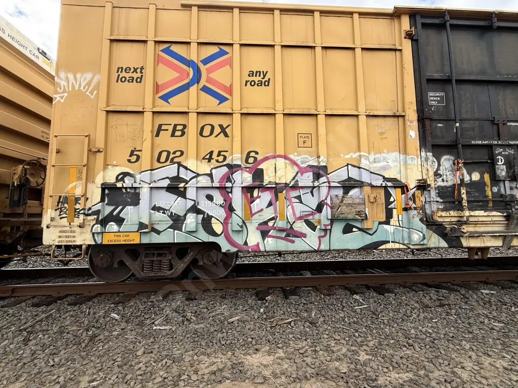 FBOX502456 - NORTH-AMERICA