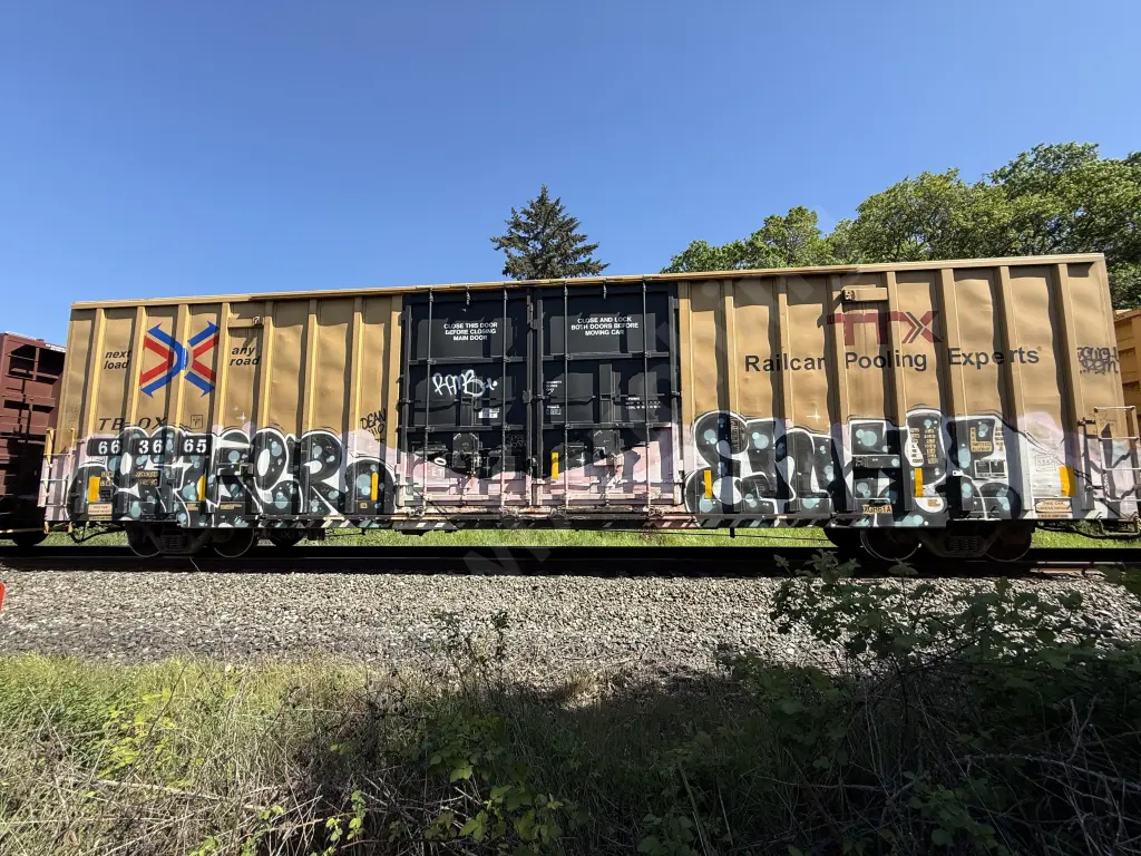 TBOX663665 - NORTH-AMERICA