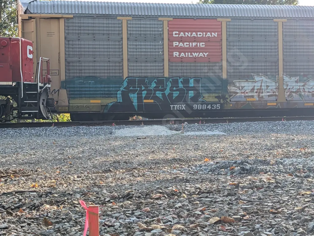 TTGX988435 - NORTH-AMERICA