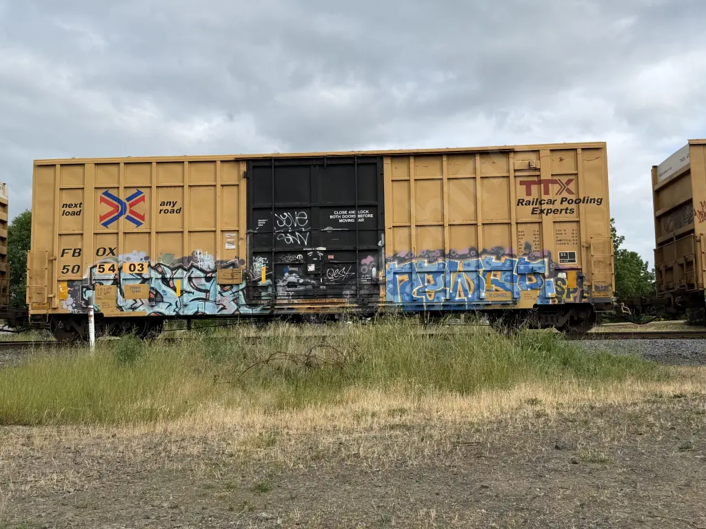 FBOX505403 - NORTH-AMERICA