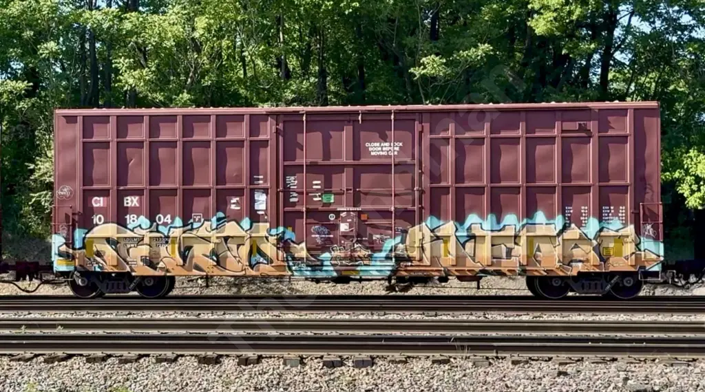 CIBX101804 - NORTH-AMERICA
