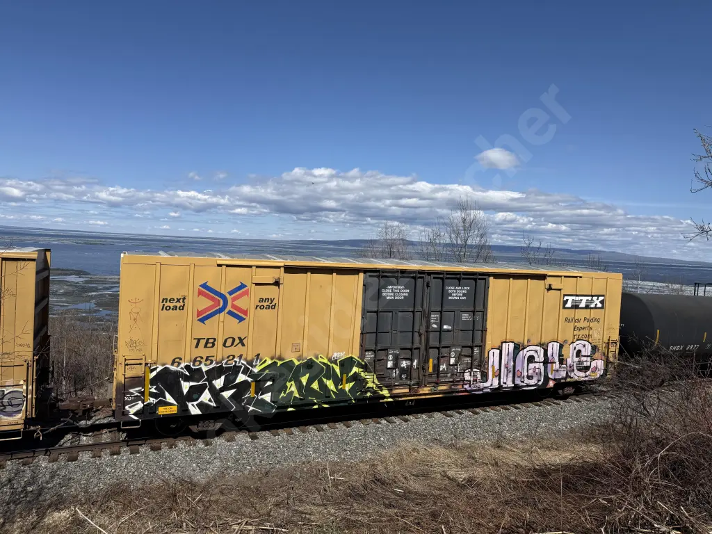 TBOX665211 - NORTH-AMERICA