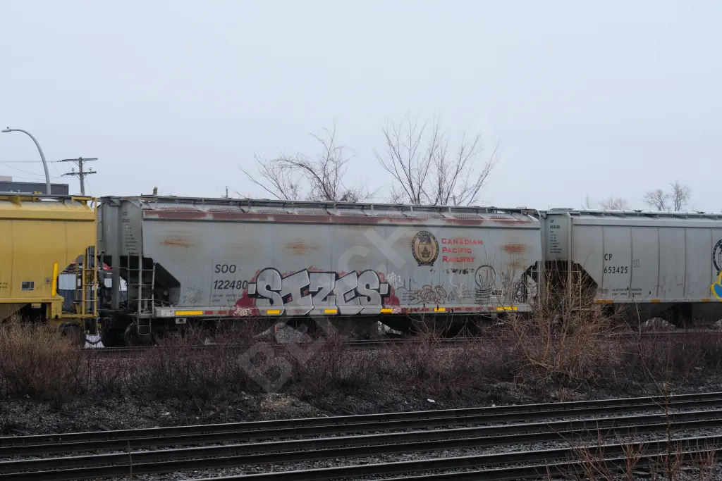 SOO122480 - NORTH-AMERICA