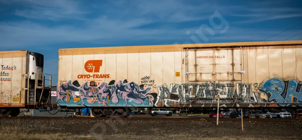 CRYX5093 - NORTH-AMERICA